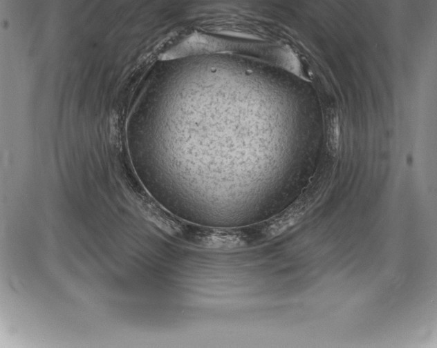 X0000085820270200703301601