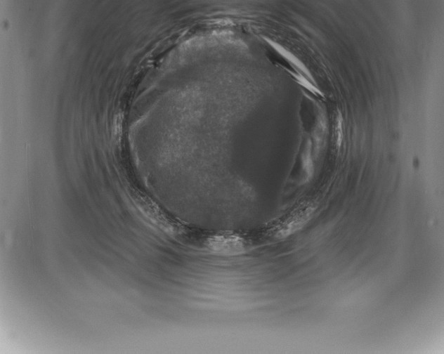 X0000085820271200703301601