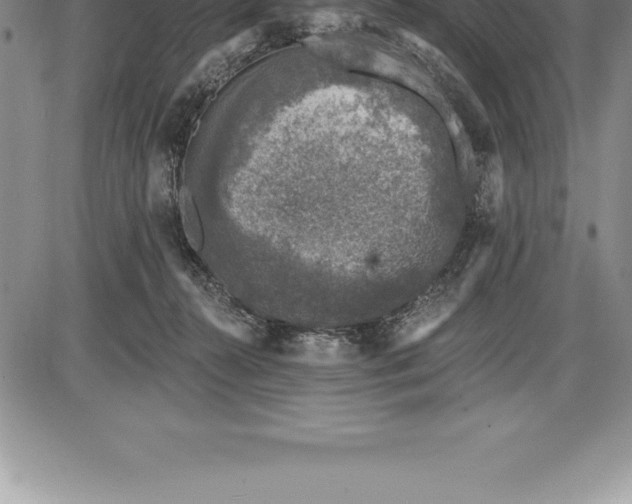 X0000085820272200703301601