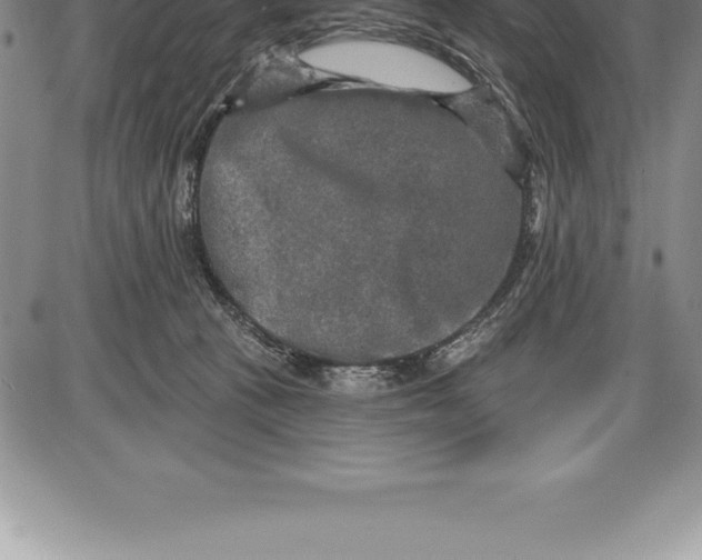 X0000085820273200703301601