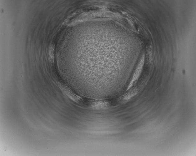 X0000085820274200703301601