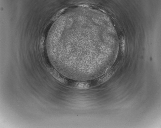 X0000085820275200703301601