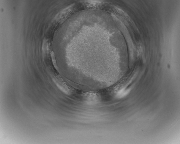 X0000085820276200703301601