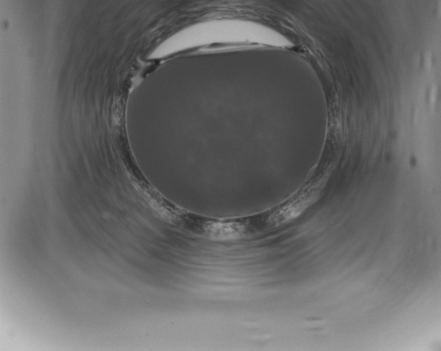 X0000085820277200703301601