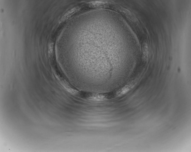 X0000085820278200703301601