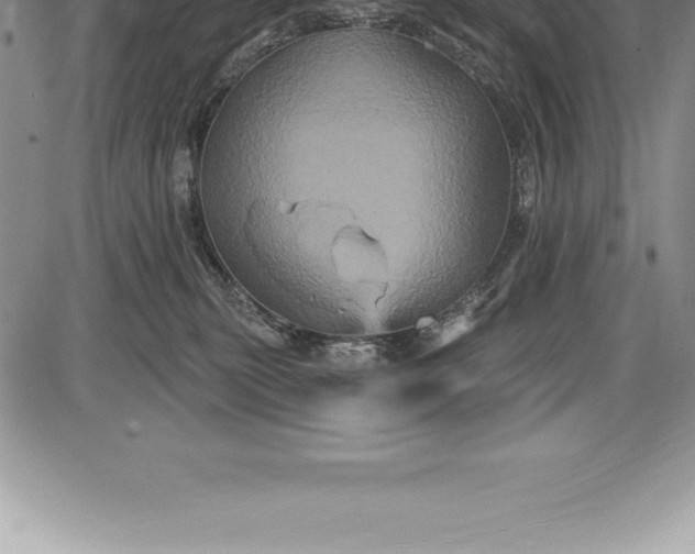 X0000085820279200703301601