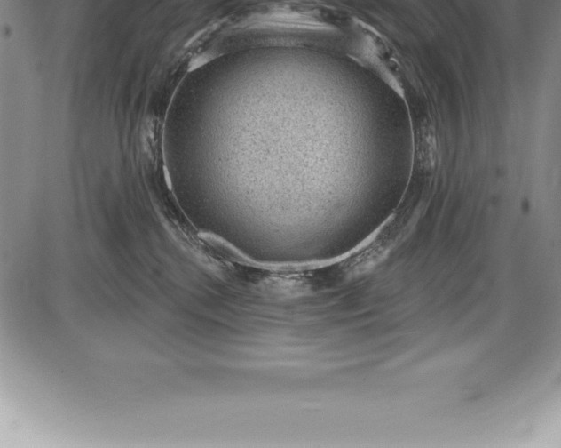 X0000085820280200703301601