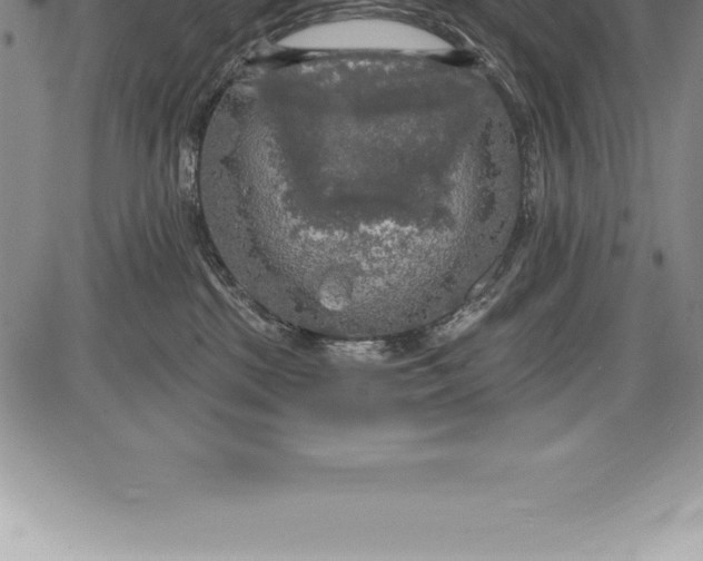 X0000085820281200703301601