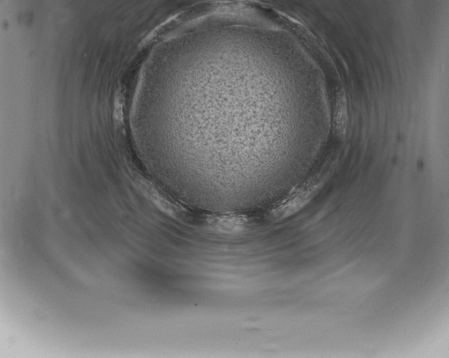 X0000085820282200703301601