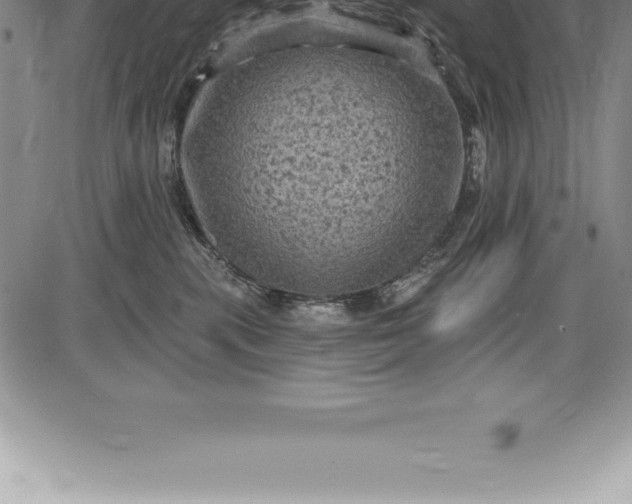 X0000085820283200703301601