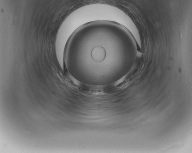 X0000085820284200703301601