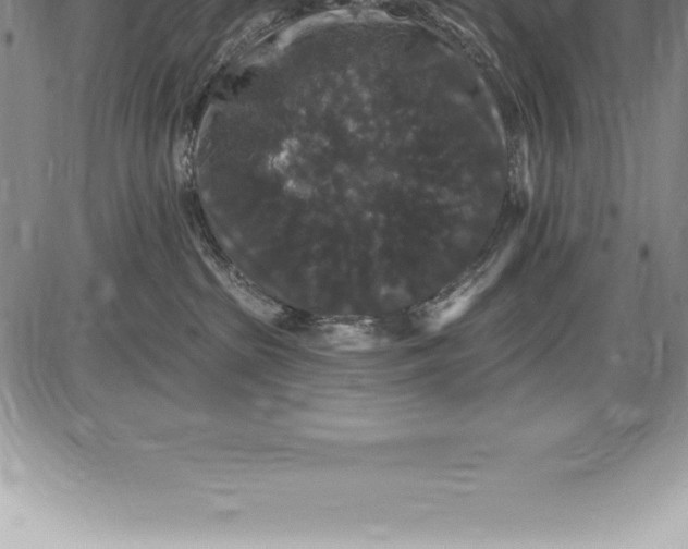 X0000085820285200703301601