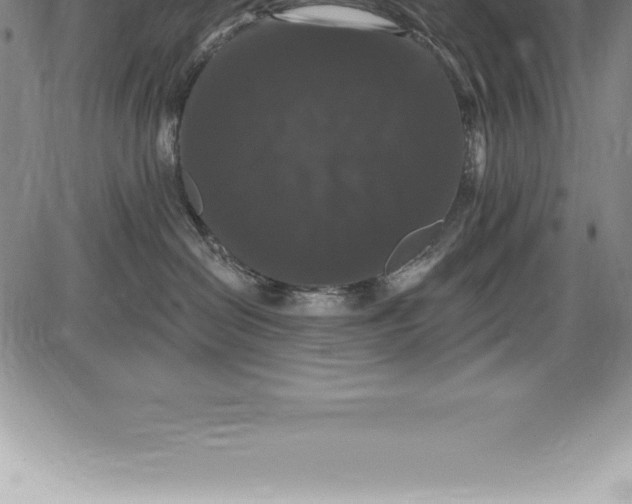 X0000085820286200703301601