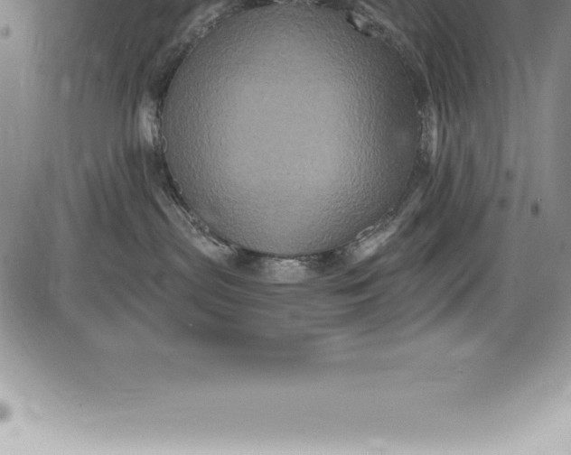 X0000085820287200703301601