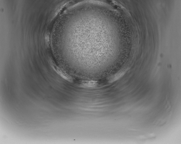 X0000085820288200703301601