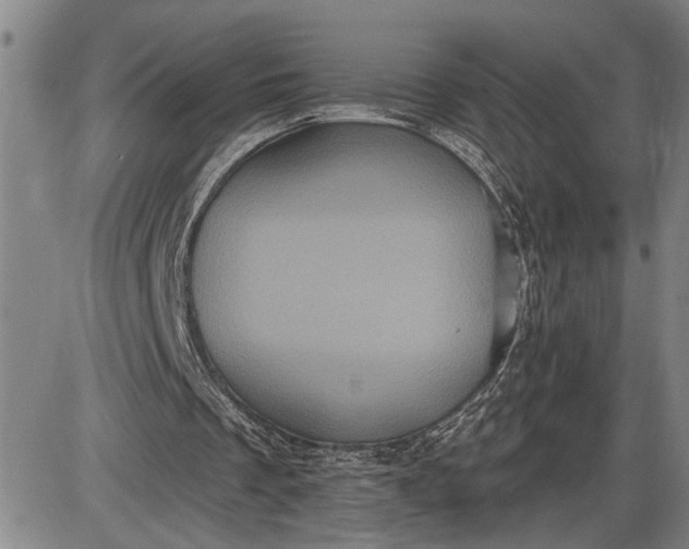 X0000085820289200703301600