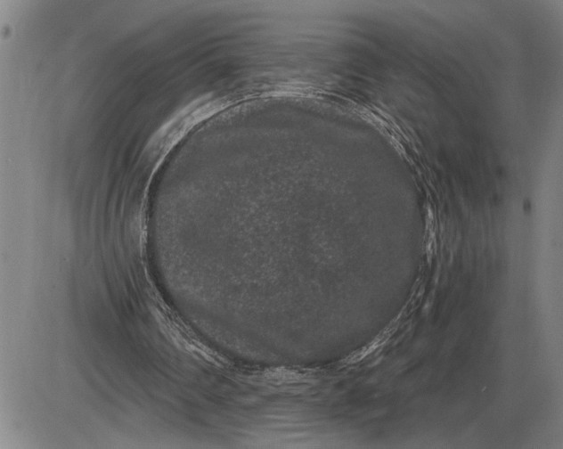 X0000085820290200703301600