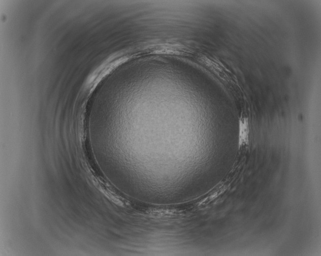 X0000085820291200703301600