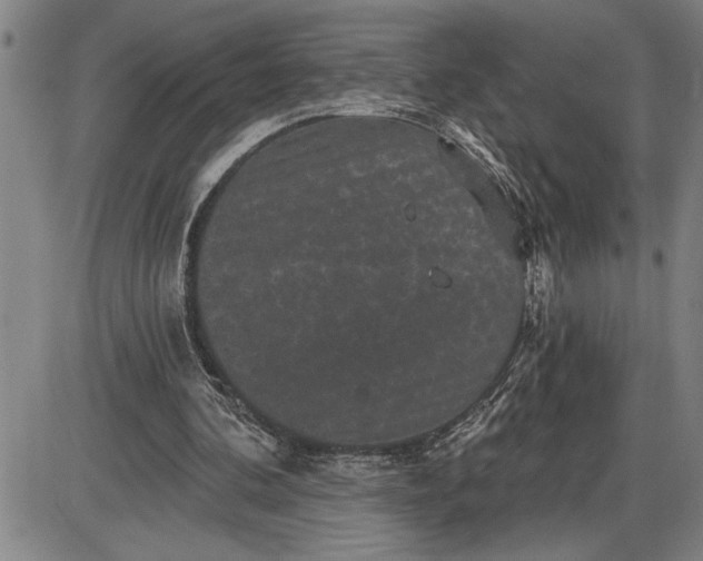 X0000085820292200703301600