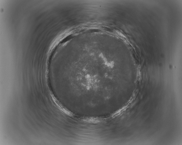 X0000085820293200703301600