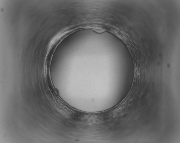 X0000085820294200703301600