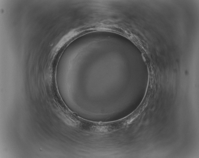 X0000085820295200703301600