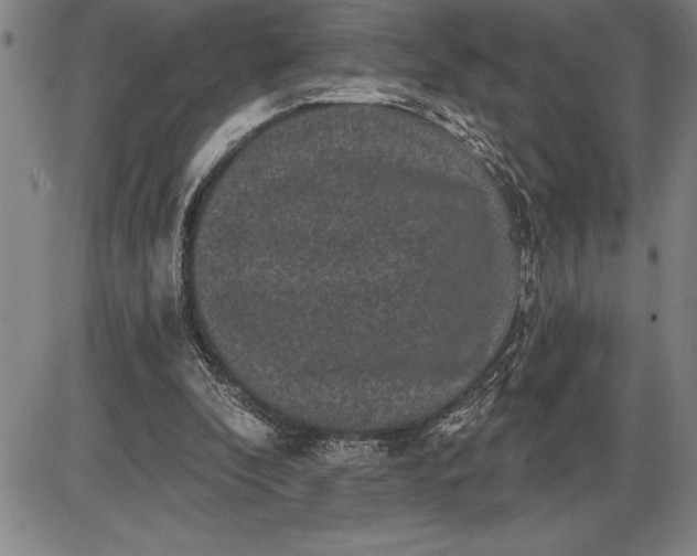 X0000085820296200703301600