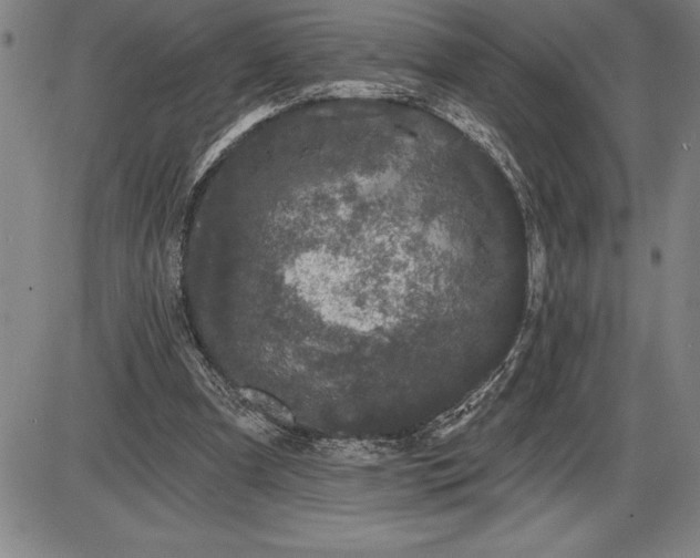 X0000085820297200703301600