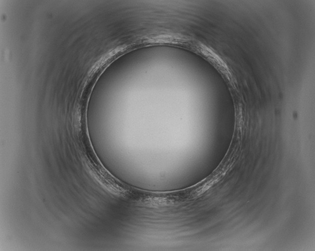 X0000085820298200703301600