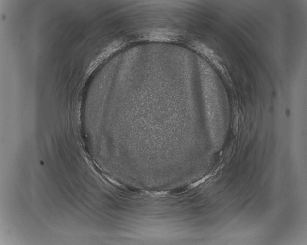 X0000085820299200703301600