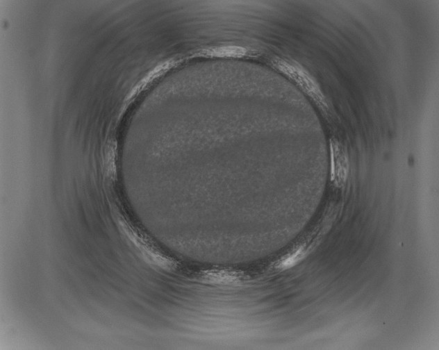 X0000085820300200703301600