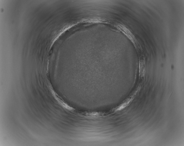 X0000085820301200703301600