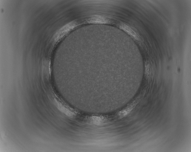 X0000085820302200703301600