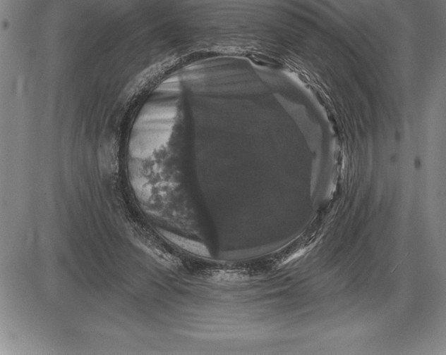 X0000085820303200703301600