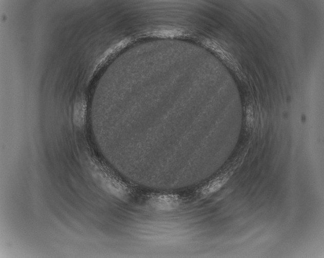 X0000085820304200703301600