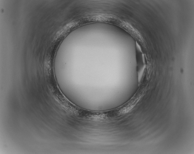 X0000085820306200703301600