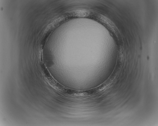 X0000085820307200703301600