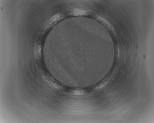 X0000085820308200703301600