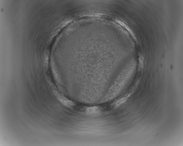 X0000085820309200703301600