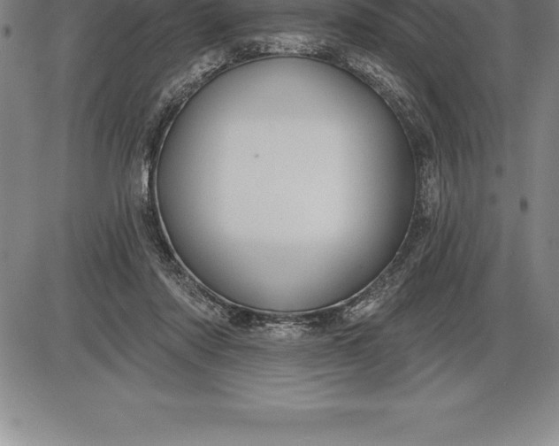 X0000085820310200703301600