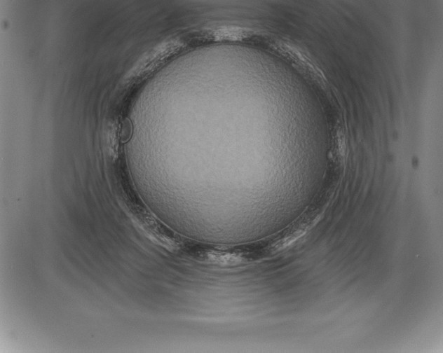 X0000085820311200703301600