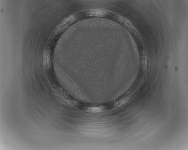 X0000085820312200703301600