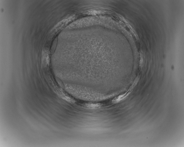 X0000085820313200703301600