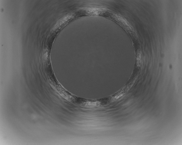 X0000085820314200703301600