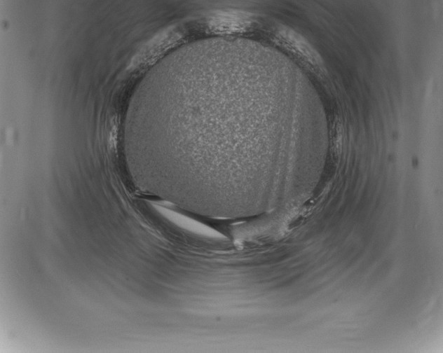 X0000085820315200703301600