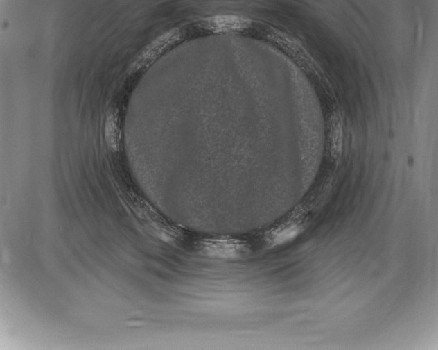 X0000085820316200703301600