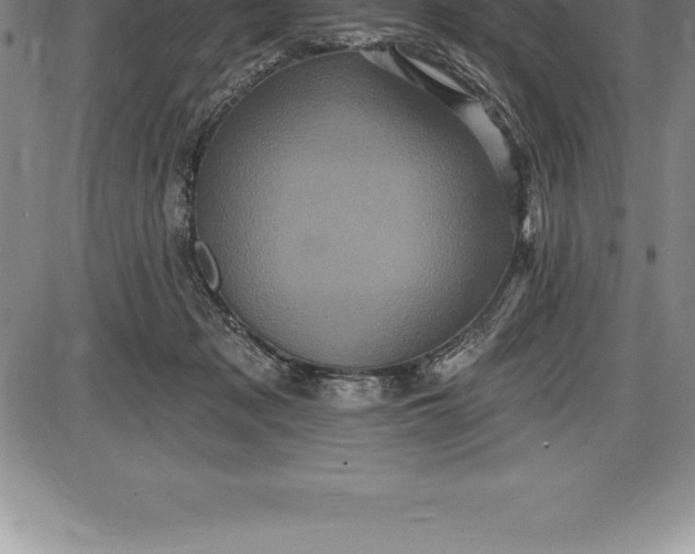 X0000085820317200703301600