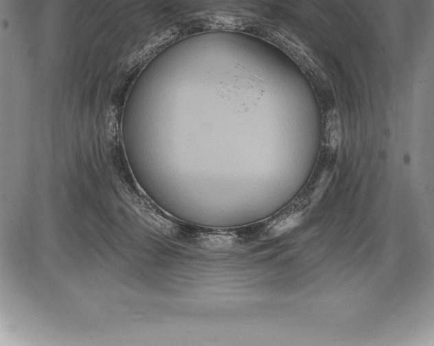 X0000085820318200703301600