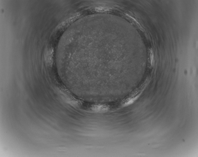 X0000085820319200703301600