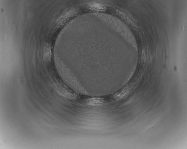 X0000085820320200703301600